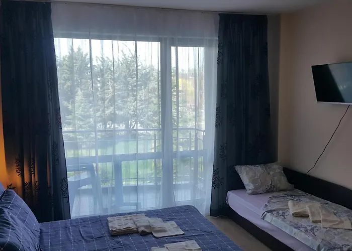 Cacao 9 阳光海滩